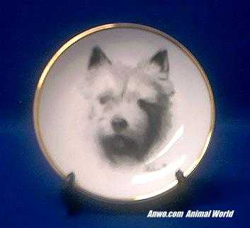norwich terrier plate porcelain