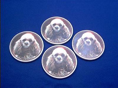 poodle coasters 