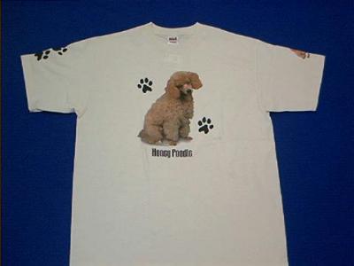 poodle honey t shirt