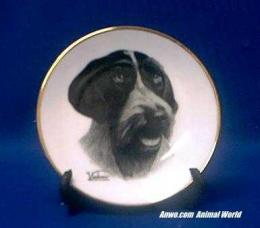 german wirehair pointer plate porcelain