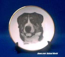 greater swiss mountain dog plate porelain