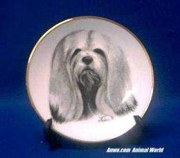 lhasa apso plate porcelain