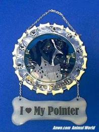 pointer suncatcher